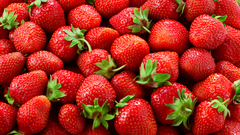 Cultivo de Fresa y berries